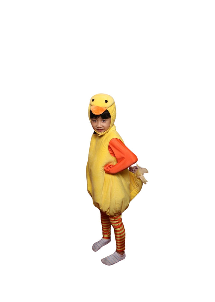 Duck K-AML02