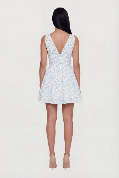 Ditsy Floral V-Neck Mini Dress