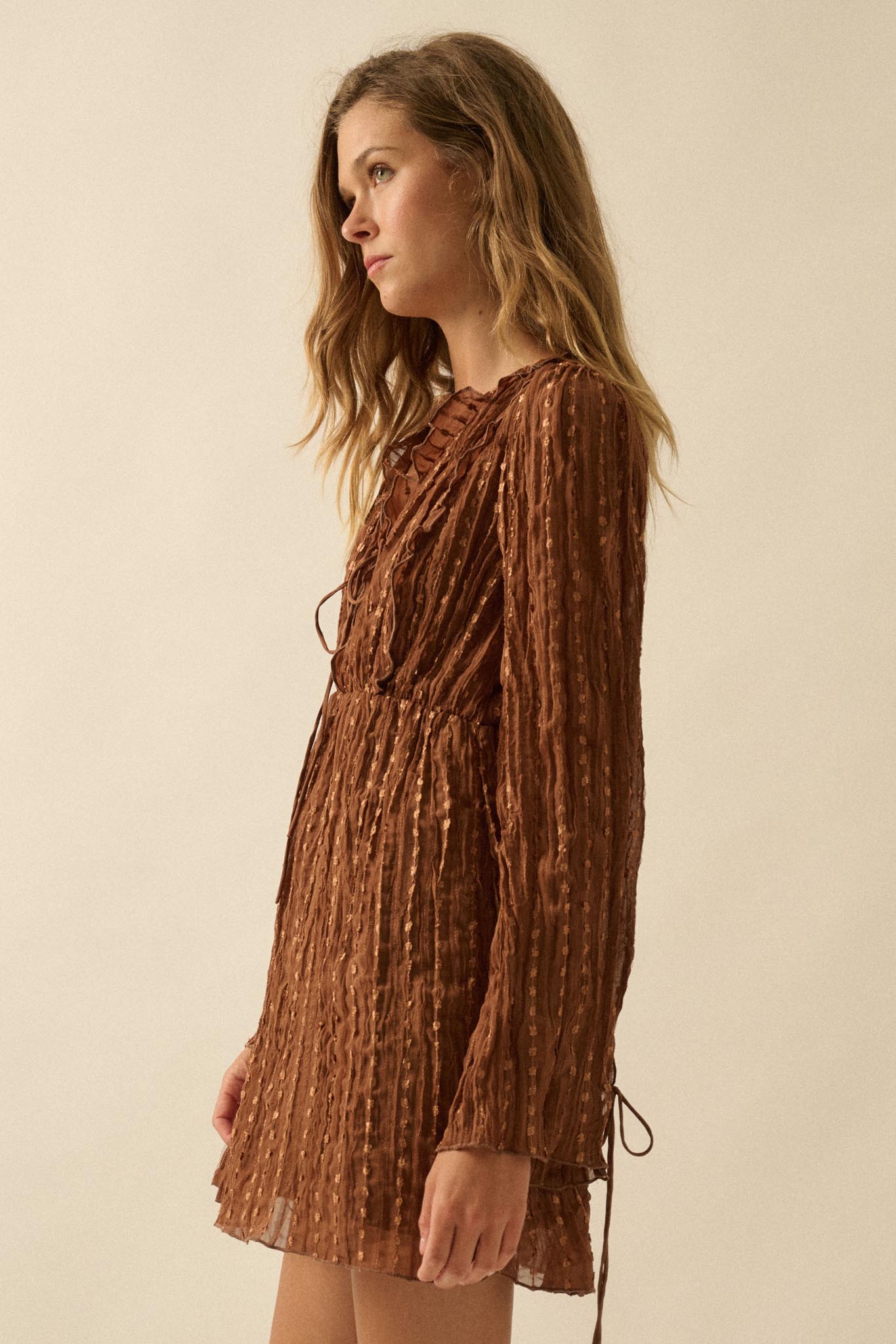 Angelic Beauty Embroidered Chiffon Mini Dress