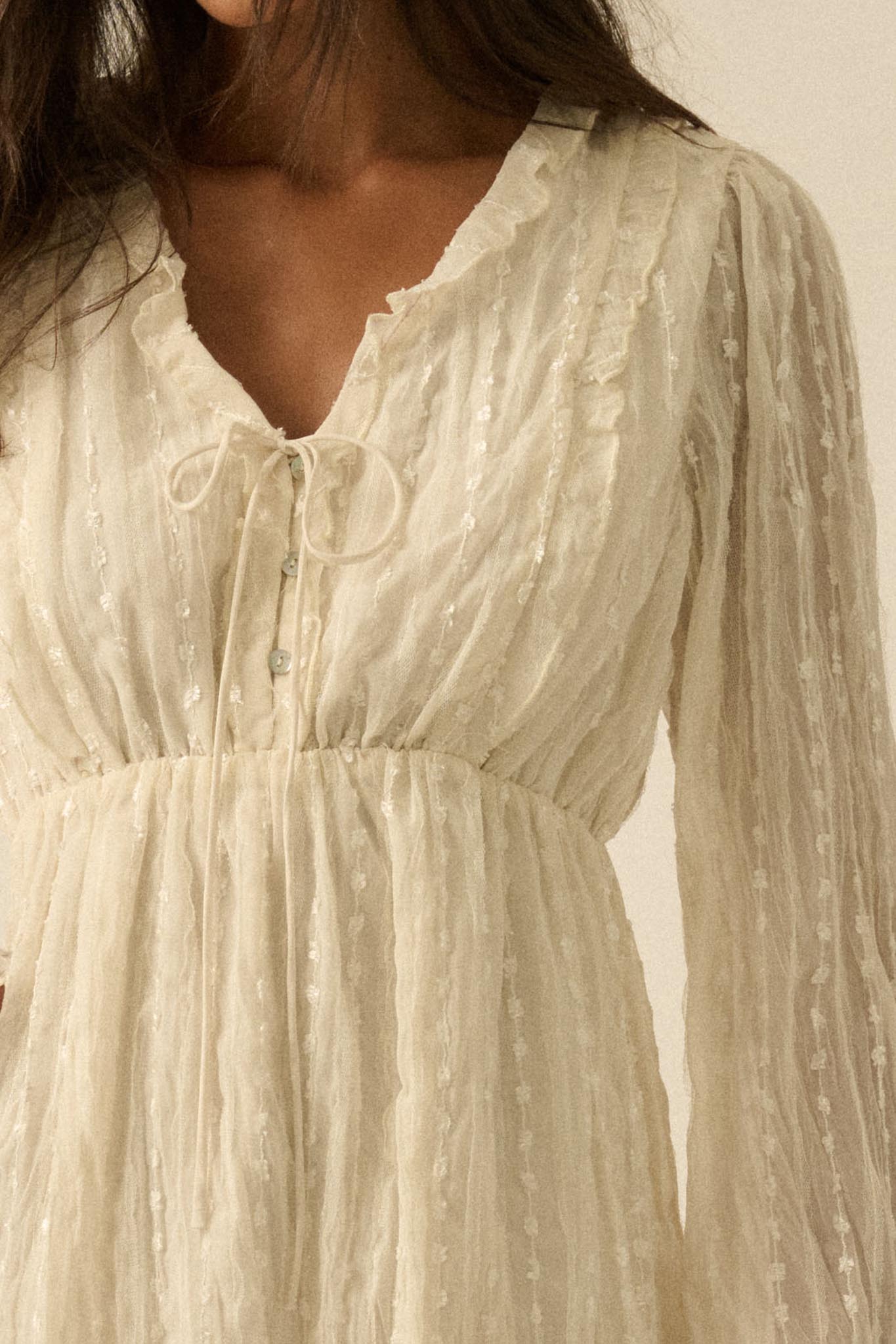 Angelic Beauty Embroidered Chiffon Mini Dress