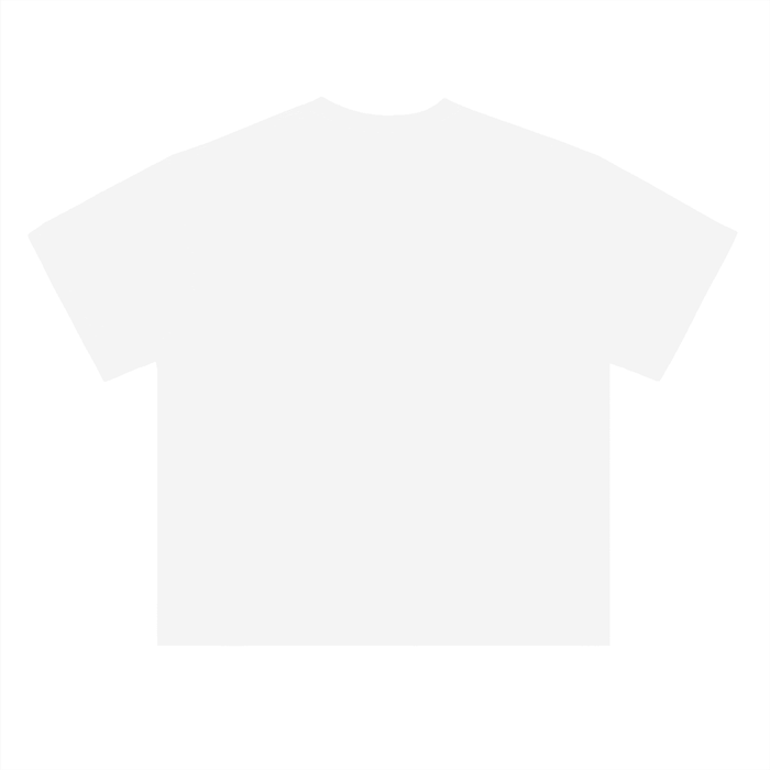 Bronx Basketball 2026 Playoffs Heavyweight Drop Shoulder Cotton T-Shirt by Bronx Native